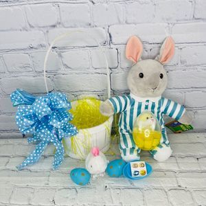 Easter Basket Kohls Cares Goodnight Moon Bunny Plush Rabbit Wind up Chick